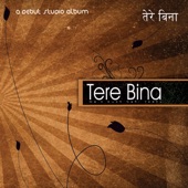 Tere Bina artwork