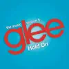 Hold On (Glee Cast Version) [feat. Adam Lambert & Demi Lovato] - Single album lyrics, reviews, download