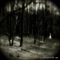 Afterlife - Wilkinson lyrics