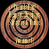 Foundation Deejays Singers & Dubs Vol 6