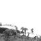 Bring Me Simple Men - Timber Timbre lyrics