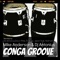 Conga Groove (El Brujo Tribal Mix) - Mike Anderson & Dj Antonius lyrics