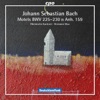 Bach: Motets, BWV 225-230 & Anh. 159