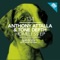 Elton Bisquick - Anthony Attalla & Tone Depth lyrics