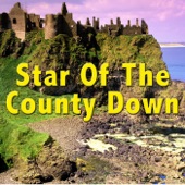 Star of the County Down artwork