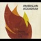Harmless Sparks - American Aquarium lyrics