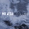 Moderate - Mr Vega lyrics