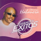 Grandes Exitos (Greatest Hits) artwork
