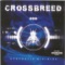 Underlined - Crossbreed lyrics