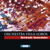 Orchestra Villa-Lobos