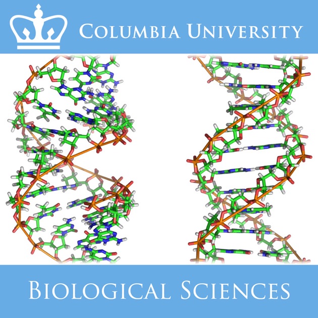 Introductory Biology by Columbia University on Apple Podcasts