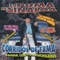 El Pitallon - El Puma de Sinaloa lyrics