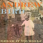 Andrew Bird - Orpheo Looks Back