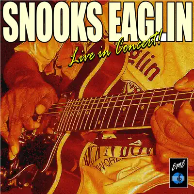 The Snooks Eaglin Live in Concert - Snooks Eaglin