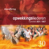 Opwekkingsliederen 30 artwork