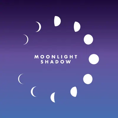 Moonlight Shadow - Single - Maggie Reilly