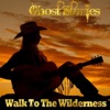 Ghost Stories - Walk to the Wilderness (No Coldplay in the Desert Mix)