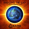 Bridging the Gap - Compiled by Dynamic Range