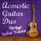 I Will Survive - Acoustic Guitar Duo lyrics