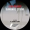 Bahamas Storm (DJ Aroma Sabor Autentico Remix) - Sven Wegner lyrics