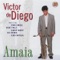Amaia - Victor de Diego lyrics
