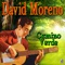 Islas Canarias - David Moreno lyrics