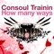 How Many Ways - Consoul Trainin lyrics