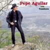 Pepe Aguilar Con Tambora