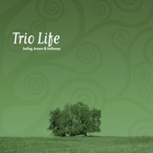Trio Life artwork