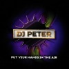 Put Your Hands in the Air - Single