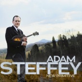 Adam Steffey - Rock The Cradle Joe