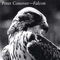Falcon (words, P. Conover / Music, Trad.) - Peter Conover lyrics