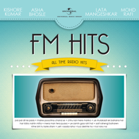 Various Artists - FM Hits - All Time Radio Hits artwork