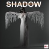 Dj Junior Cnytfk & Dcoverz - Shadows