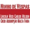 Ninho de Vespa - Nelson Faria, Nico Assumpção, Carlos Malta & Lincoln Cheib lyrics