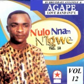 N'ulo Nnam Nigwe - Vol 12 artwork
