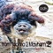 Audio Lsd 3 - Greg Notill lyrics