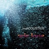 The Acoustics - Sea Birds