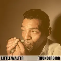 Thunderbird - EP - Little Walter