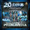 20 Éxitos Históricos: Conjunto Primavera album lyrics, reviews, download
