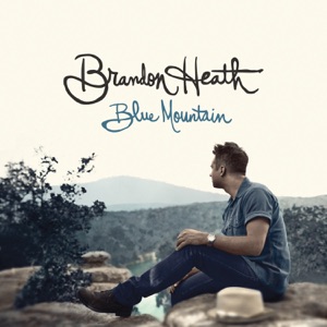 Brandon Heath - The Harvester - Line Dance Music