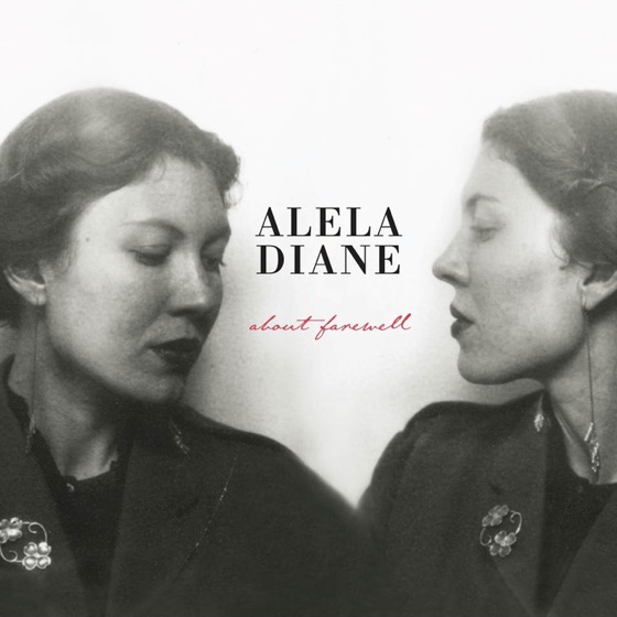 Cover artwork for The Way We Fall
