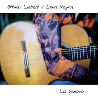 Ottmar Liebert + Luna Negra Ablum Cover