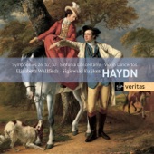 Haydn - Symphonies & Concertos artwork