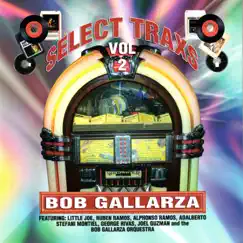 Select Trax Vol. II [Bob Gallarza Presents] by Various Artists album reviews, ratings, credits