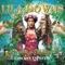 Pecadora - Lila Downs & Illya Kuryaki & The Valderramas lyrics