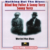 Worried Man Blues (Nothing But the Blues) artwork