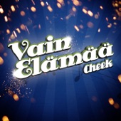 Vain Elämää - EP artwork