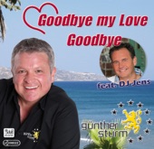 Goodbye My Love Goodbye 2013 (Party) [feat. DJ. Jens] - Single