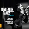 Concerto for Viola "Der Schwanendreher": I. Zwischen Berg und tiefem Tal song lyrics